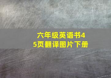 六年级英语书45页翻译图片下册