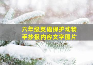 六年级英语保护动物手抄报内容文字图片