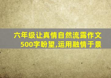 六年级让真情自然流露作文500字盼望,运用融情于景