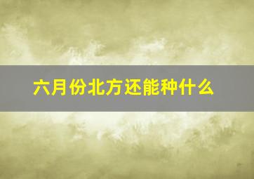 六月份北方还能种什么