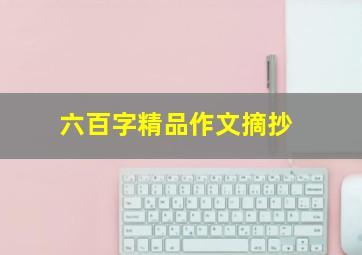 六百字精品作文摘抄