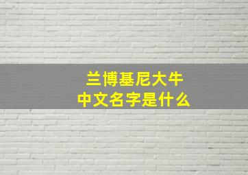 兰博基尼大牛中文名字是什么