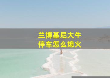 兰博基尼大牛停车怎么熄火