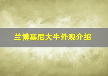 兰博基尼大牛外观介绍