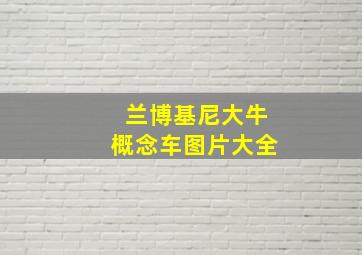 兰博基尼大牛概念车图片大全