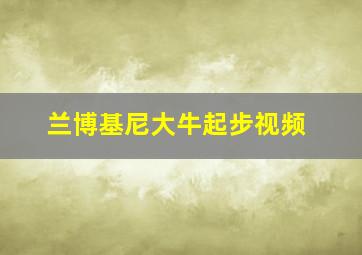 兰博基尼大牛起步视频