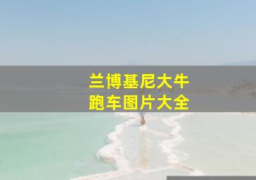 兰博基尼大牛跑车图片大全