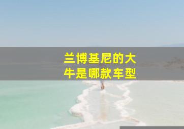 兰博基尼的大牛是哪款车型