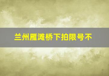 兰州雁滩桥下拍限号不