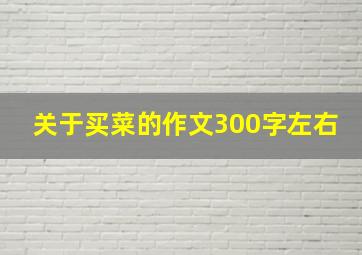 关于买菜的作文300字左右