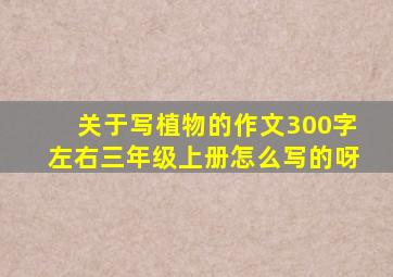 关于写植物的作文300字左右三年级上册怎么写的呀