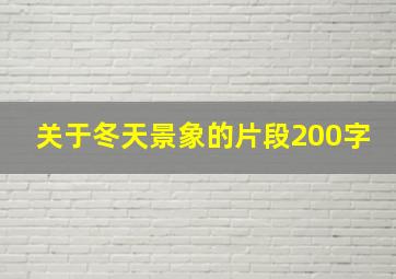 关于冬天景象的片段200字