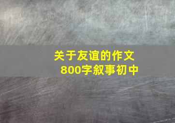 关于友谊的作文800字叙事初中