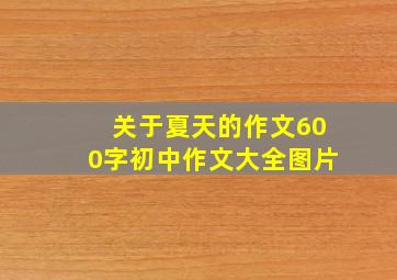 关于夏天的作文600字初中作文大全图片