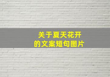 关于夏天花开的文案短句图片