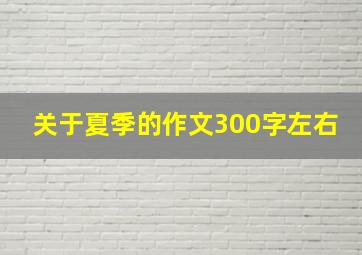 关于夏季的作文300字左右