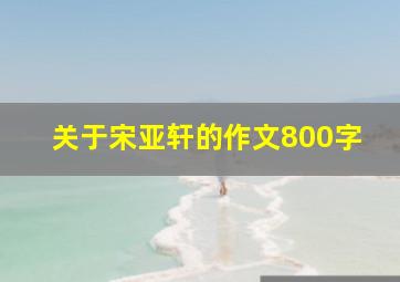 关于宋亚轩的作文800字