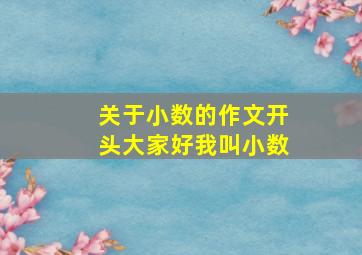 关于小数的作文开头大家好我叫小数