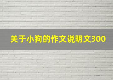 关于小狗的作文说明文300