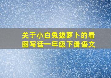 关于小白兔拔萝卜的看图写话一年级下册语文