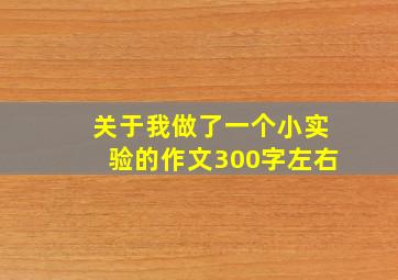 关于我做了一个小实验的作文300字左右