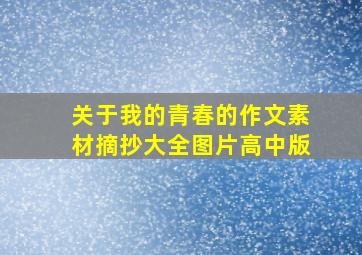 关于我的青春的作文素材摘抄大全图片高中版