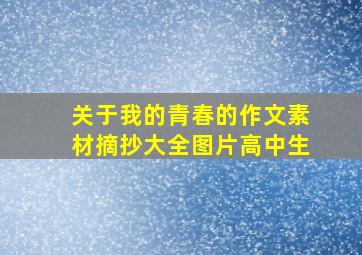 关于我的青春的作文素材摘抄大全图片高中生