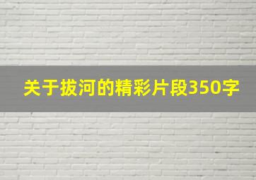 关于拔河的精彩片段350字