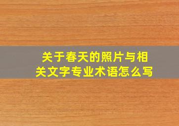 关于春天的照片与相关文字专业术语怎么写