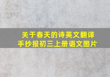 关于春天的诗英文翻译手抄报初三上册语文图片