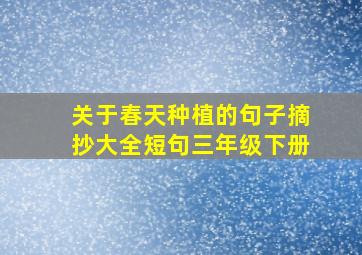 关于春天种植的句子摘抄大全短句三年级下册