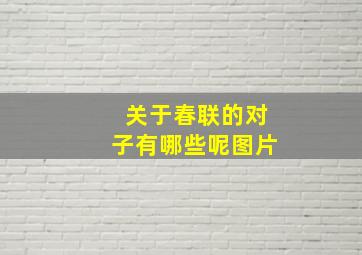 关于春联的对子有哪些呢图片