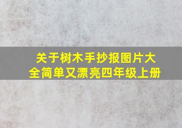 关于树木手抄报图片大全简单又漂亮四年级上册