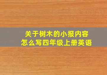 关于树木的小报内容怎么写四年级上册英语