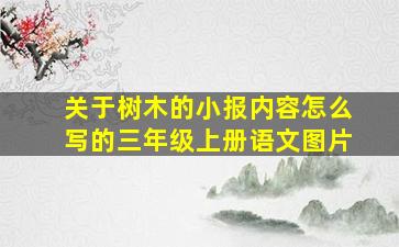 关于树木的小报内容怎么写的三年级上册语文图片