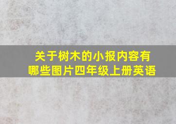 关于树木的小报内容有哪些图片四年级上册英语