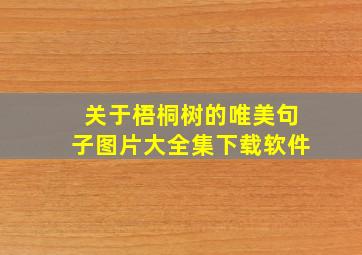 关于梧桐树的唯美句子图片大全集下载软件