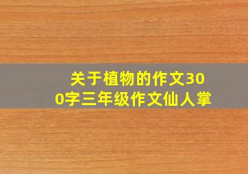 关于植物的作文300字三年级作文仙人掌