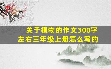 关于植物的作文300字左右三年级上册怎么写的