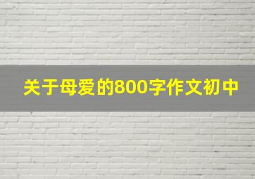 关于母爱的800字作文初中