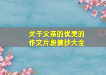 关于父亲的优美的作文片段摘抄大全