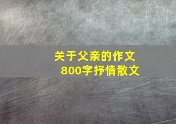 关于父亲的作文800字抒情散文