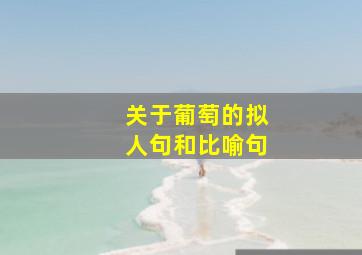 关于葡萄的拟人句和比喻句