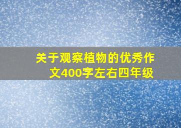 关于观察植物的优秀作文400字左右四年级