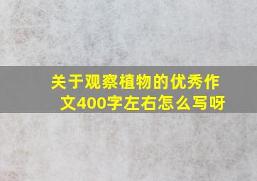 关于观察植物的优秀作文400字左右怎么写呀