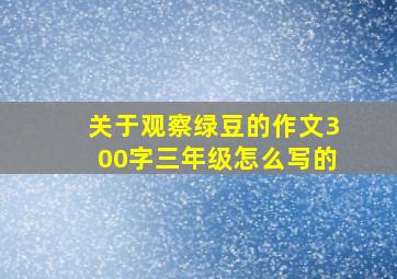 关于观察绿豆的作文300字三年级怎么写的