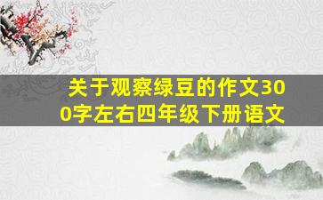 关于观察绿豆的作文300字左右四年级下册语文