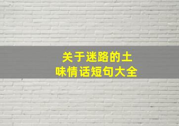 关于迷路的土味情话短句大全