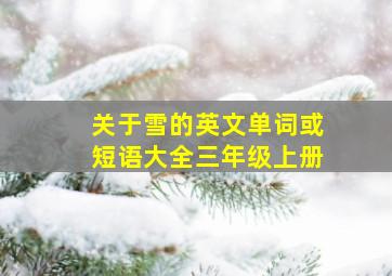 关于雪的英文单词或短语大全三年级上册