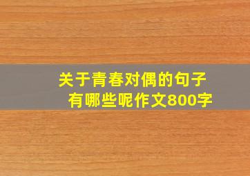 关于青春对偶的句子有哪些呢作文800字